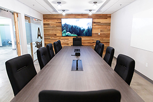 long conference table with 10 chairs